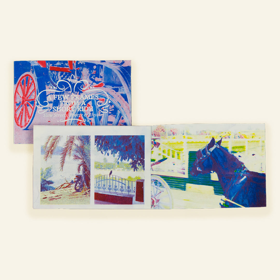 A few frames from a short ride