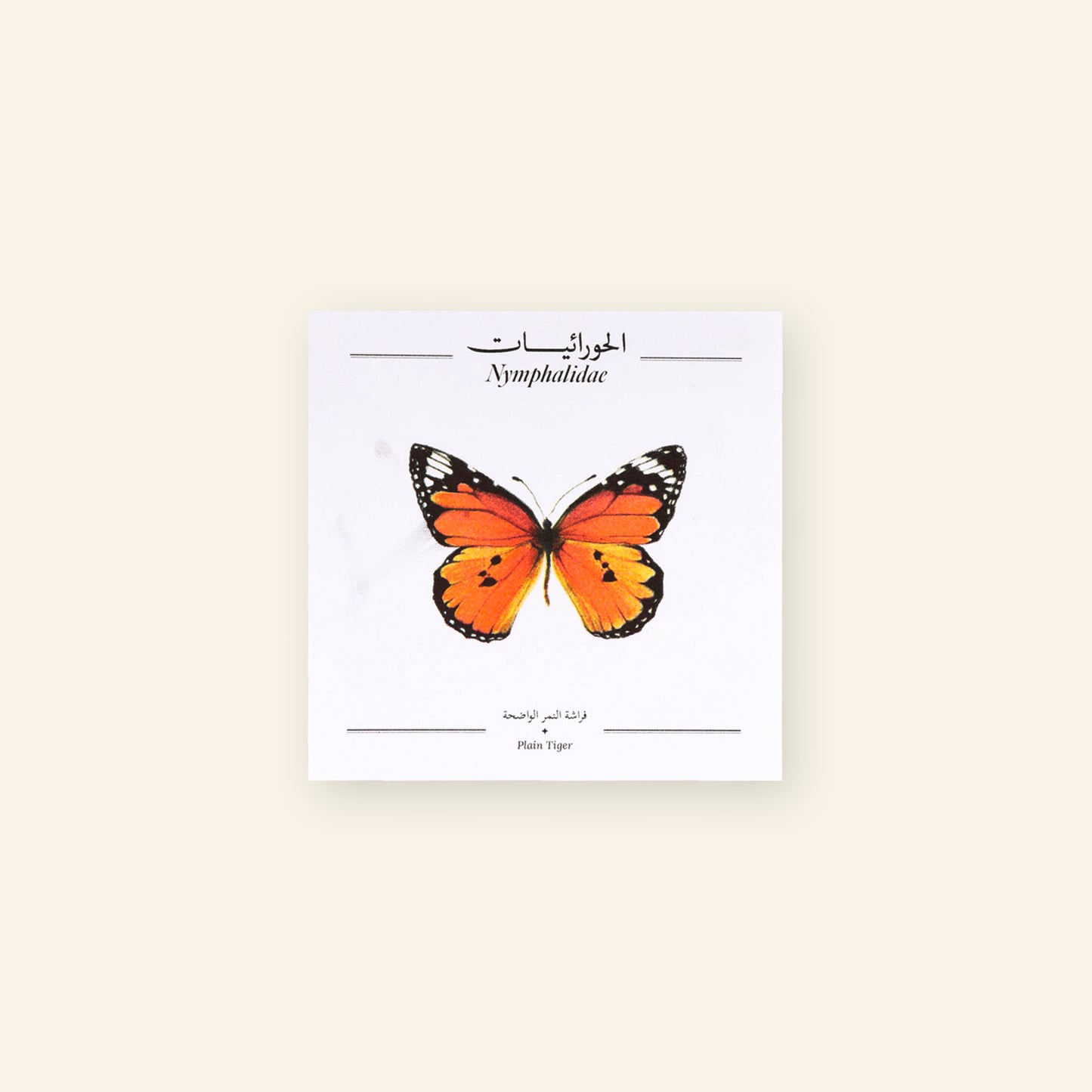 Plain Tiger Butterfly - Square Poster