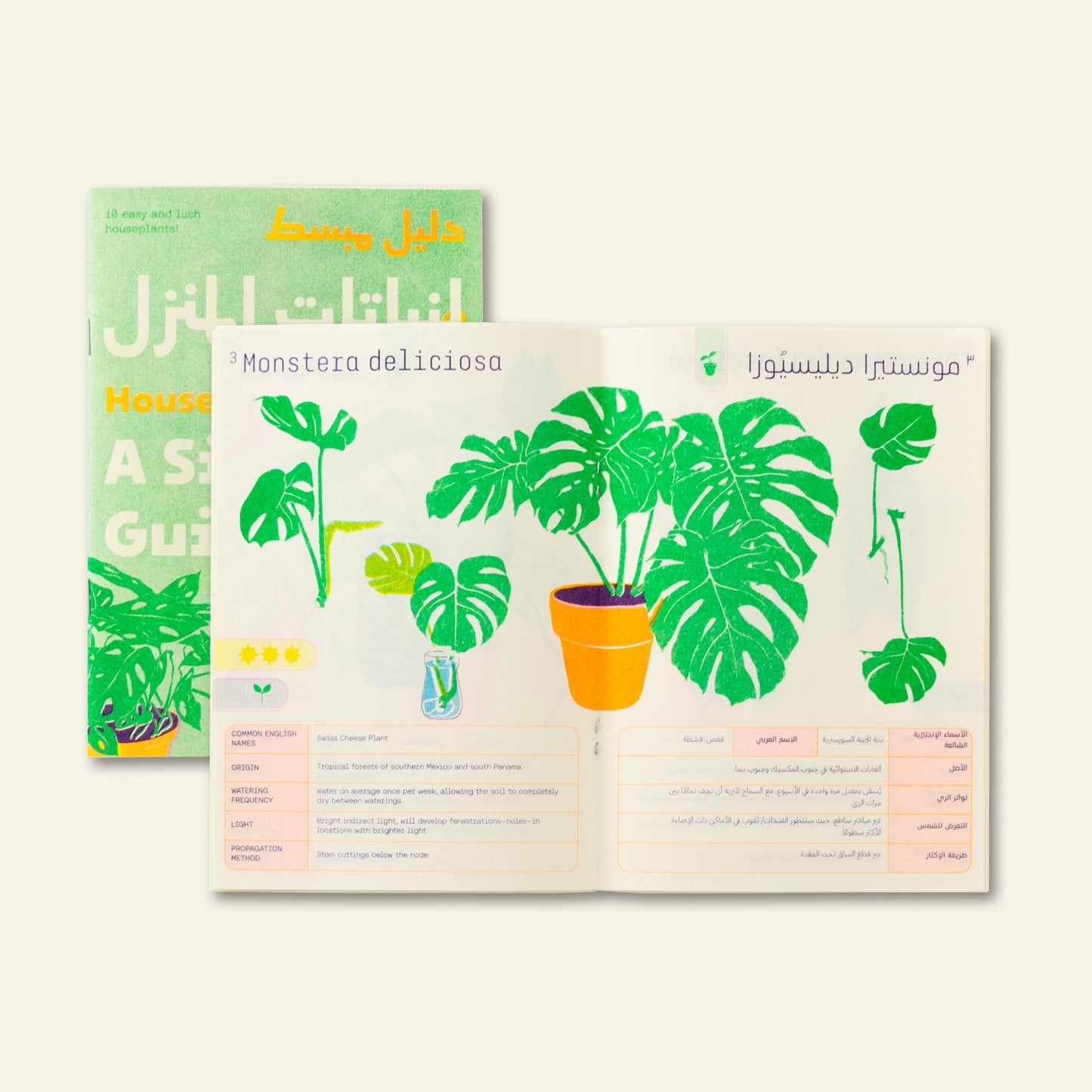 House Plants - A Simple Guide