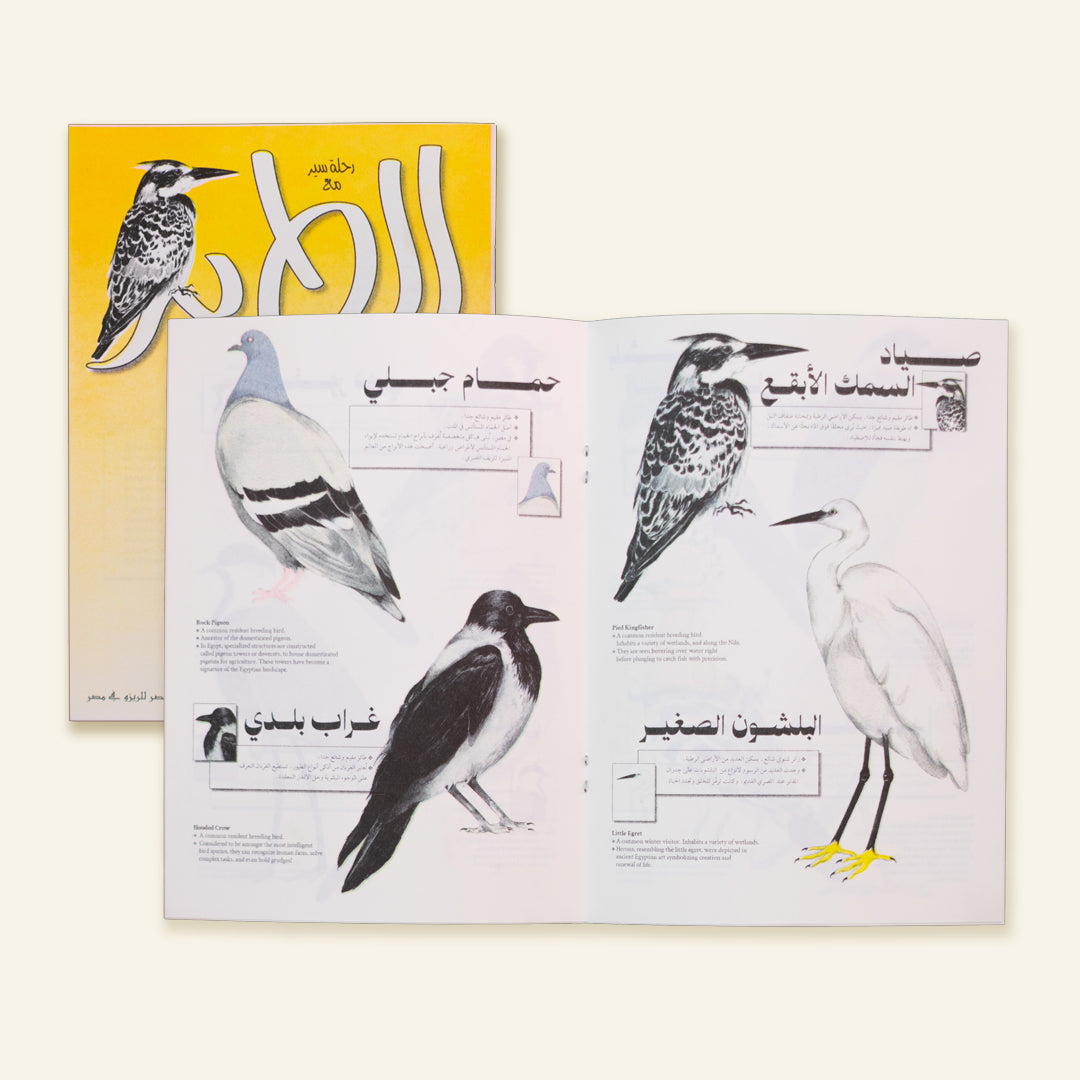 A walk with the bird