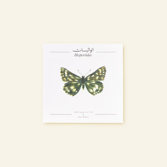 Aden Skipper Butterfly - Square Poster