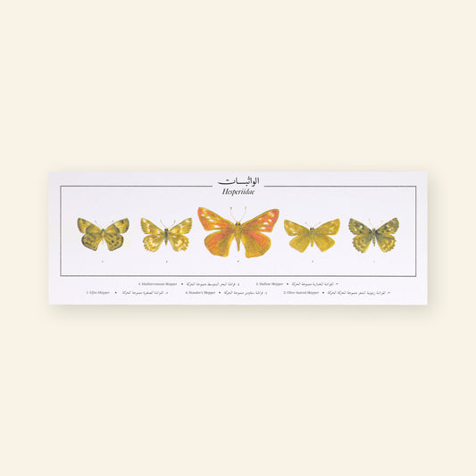 Hesperiidae I Butterflies