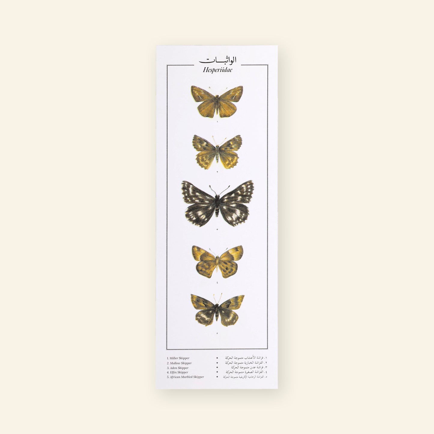 Hesperiidae IV Butterflies