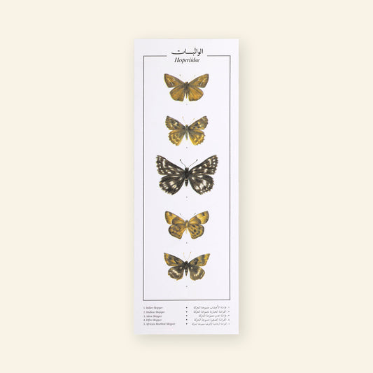 Hesperiidae IV Butterflies