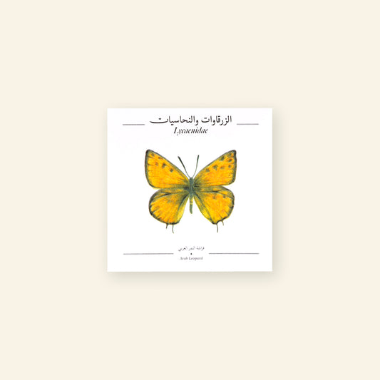 Arab Leopard Butterfly - Square Poster