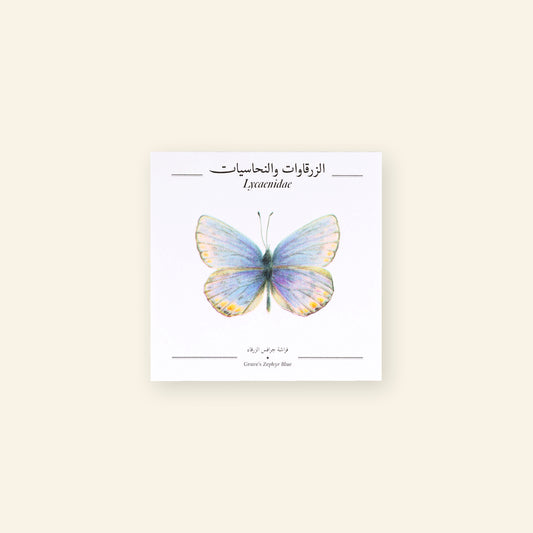 Grave's Zephyr Blue Butterfly - Square Poster