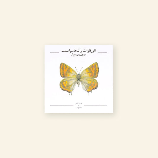 Leopard Butterfly - Square Poster