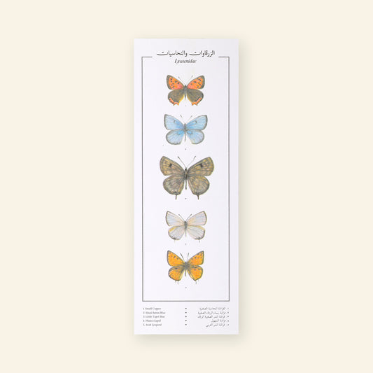 Lycaenidae IX Butterflies