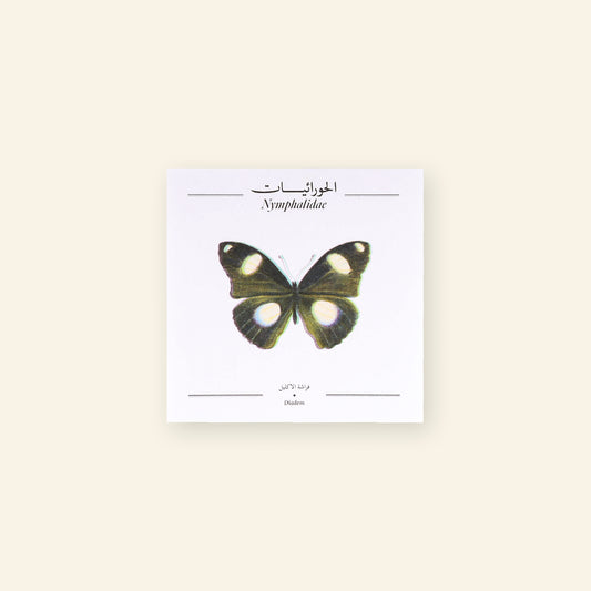 Diadem Butterfly - Square Poster