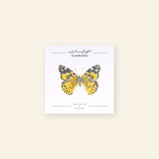 Painted Lady Butterfly - Square Poster