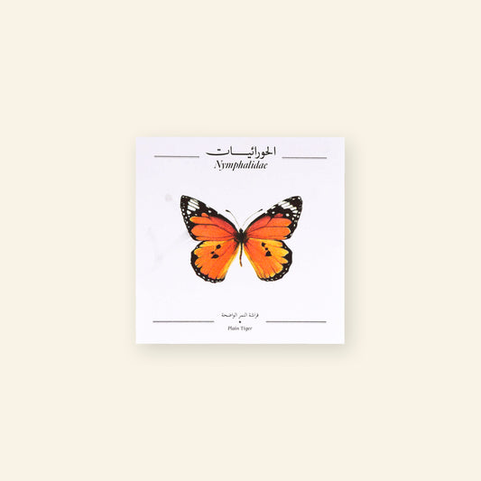 Plain Tiger Butterfly - Square Poster