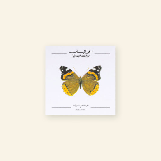 Red Admiral Butterfly - Square Poster