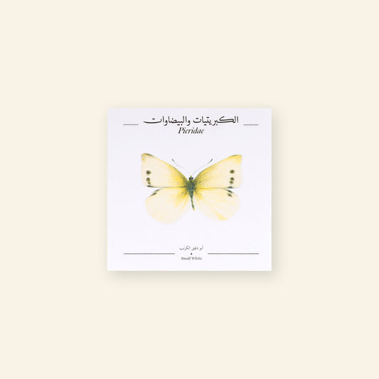 Small White Butterfly - Square Poster