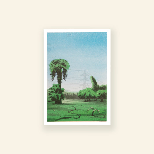 Gardens of Cairo Postcard A6 - July